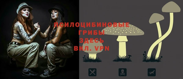 СК Абинск