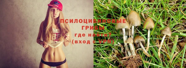 не бодяженный Ростов