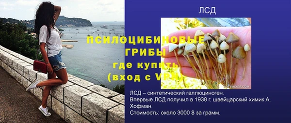 круглые Абаза