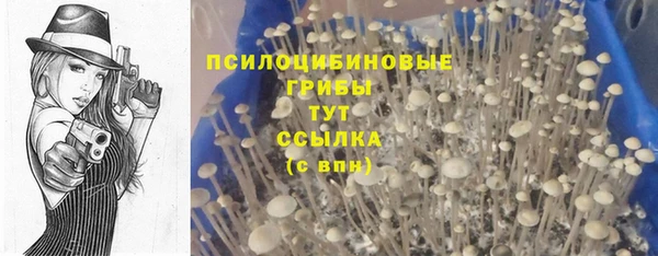 мет Абдулино