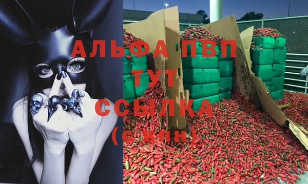 ECSTASY Рославль