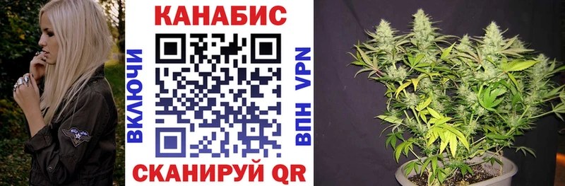 Конопля Bruce Banner Инта